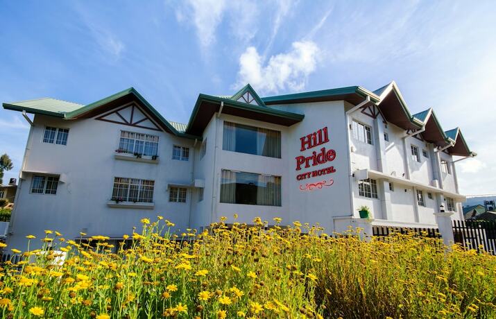 Imagen general del Hotel Hill Pride City. Foto 9