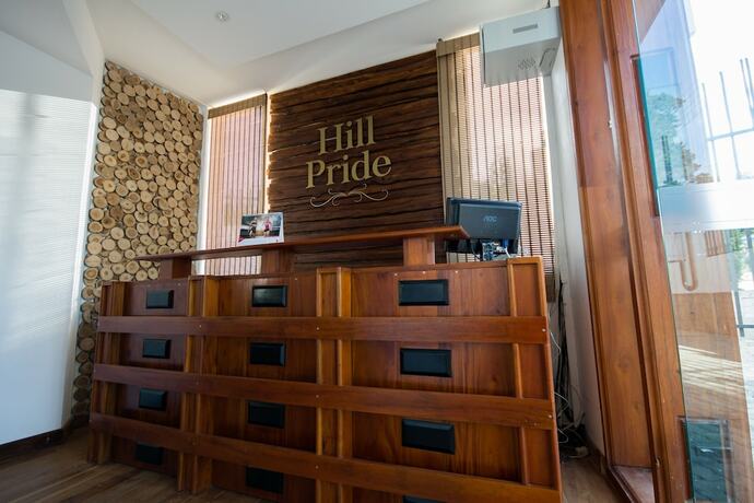 Imagen general del Hotel Hill Pride City. Foto 15