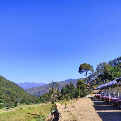 Imagen general del Hotel Hill Springs Resort And Cafe. Foto 6