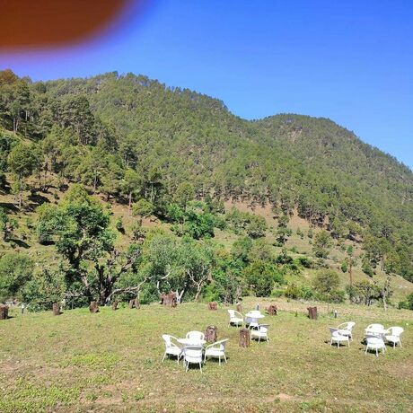 Imagen general del Hotel Hill Springs Resort And Cafe. Foto 9