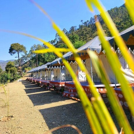 Imagen general del Hotel Hill Springs Resort And Cafe. Foto 10