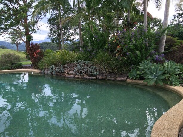 Imagen de la piscina del Hotel Hillcrest Mountain View Retreat. Foto 34