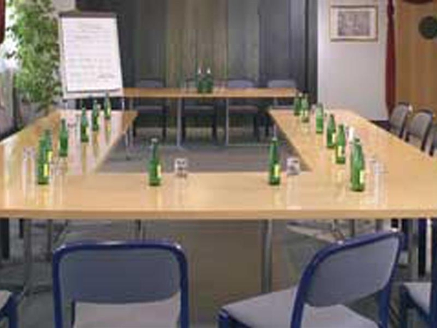 Imagen general del Hotel Hillinger. Foto 9