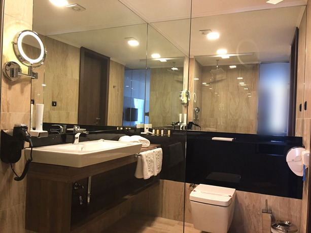 Imagen de la habitación del Hotel Hills Congress and Termal Spa Resort. Foto 5