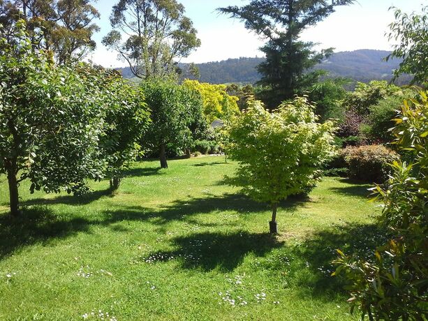 Imagen general del Hotel Hillside Bed and Breakfast. Foto 14