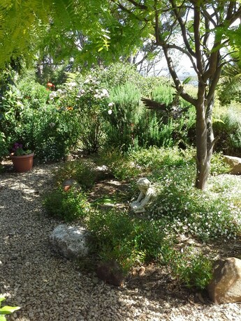 Imagen de los exteriores del Hotel Hillside Bed and Breakfast. Foto 30