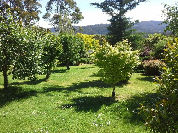 Imagen de los exteriores del Hotel Hillside Bed and Breakfast. Foto 31