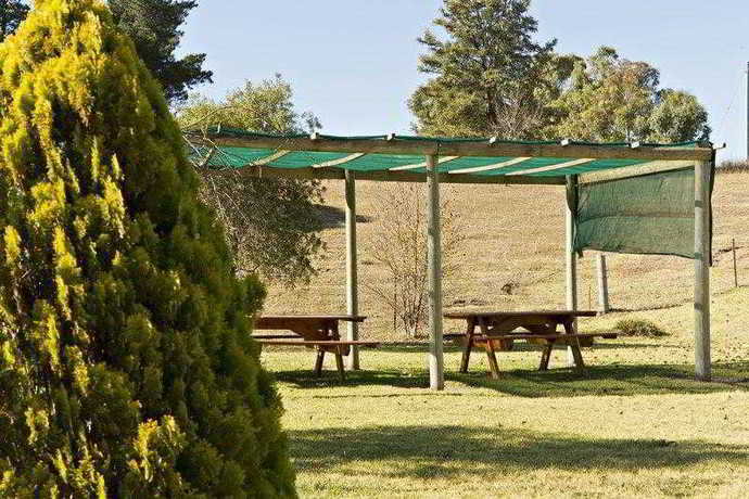 Imagen general del Hotel Hilltops Retreat Motor Inn, Young. Foto 2