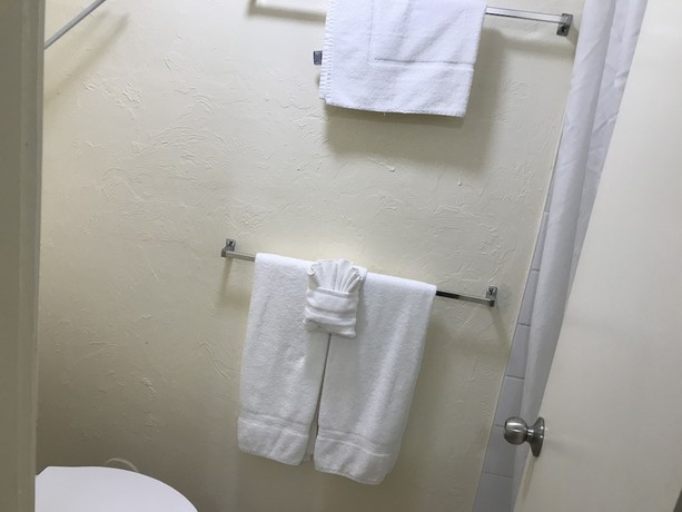 Imagen de la habitación del Hotel Hilo Reeds Bay. Foto 12