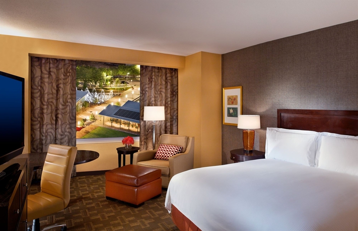 Imagen de la habitación del Hotel Hilton Americas-houston. Foto 3