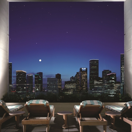 Imagen de los exteriores del Hotel Hilton Americas-houston. Foto 10