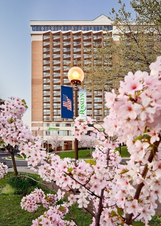 Imagen de los exteriores del Hotel Hilton Arlington Rosslyn The Key. Foto 8