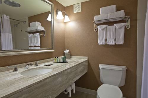 Imagen de la habitación del Hotel Hilton Atlanta Northeast. Foto 3