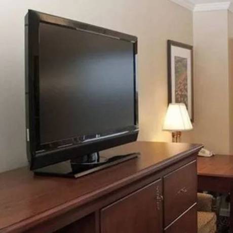 Imagen de la habitación del Hotel Hilton Atlanta/marietta & Conference Center. Foto 6