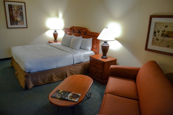 Imagen de la habitación del Hotel Hilton Austin Airport. Foto 7