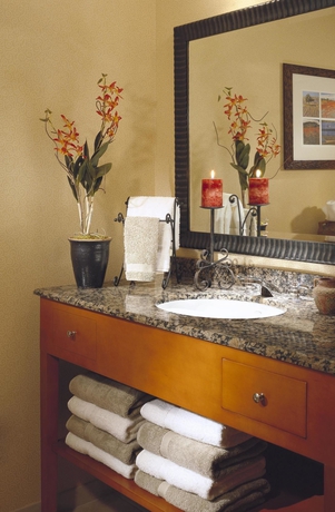 Imagen de la habitación del Hotel Hilton Austin. Foto 7