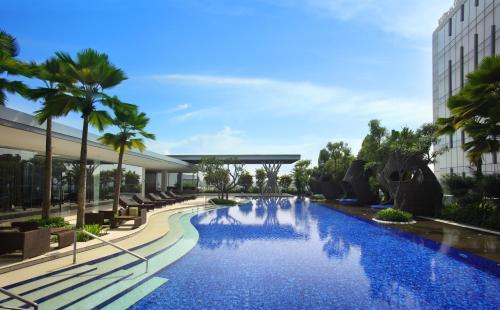 Imagen de la piscina del Hotel Hilton Bandung. Foto 12
