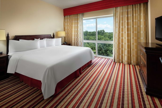 Imagen de la habitación del Hotel Hilton Charlotte Airport. Foto 4