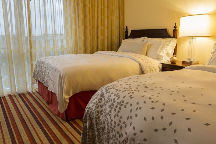 Imagen de la habitación del Hotel Hilton Charlotte Airport. Foto 7