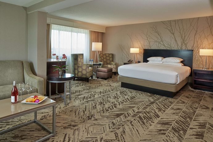 Imagen de la habitación del Hotel Hilton Cincinnati Airport. Foto 9