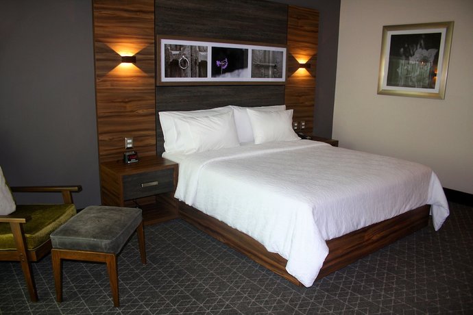 Imagen de la habitación del Hotel Hilton Garden Inn Aguascalientes. Foto 3