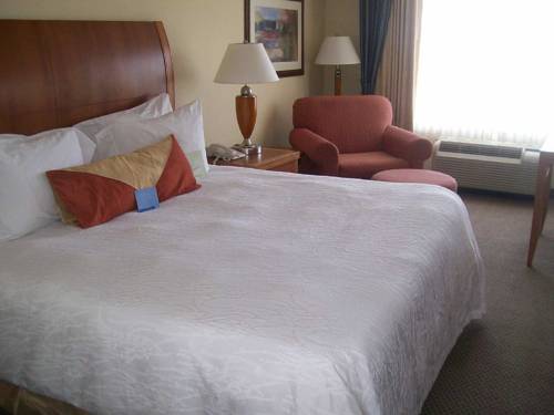 Imagen de la habitación del Hotel Hilton Garden Inn Albany, Albany. Foto 3