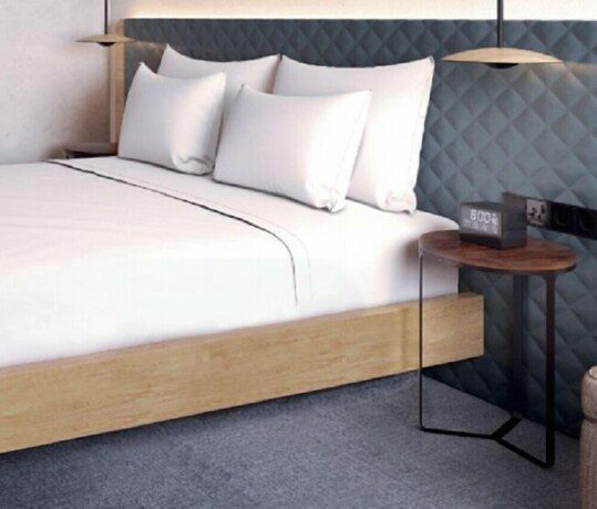 Imagen de la habitación del Hotel Hilton Garden Inn Albany, Albany. Foto 15