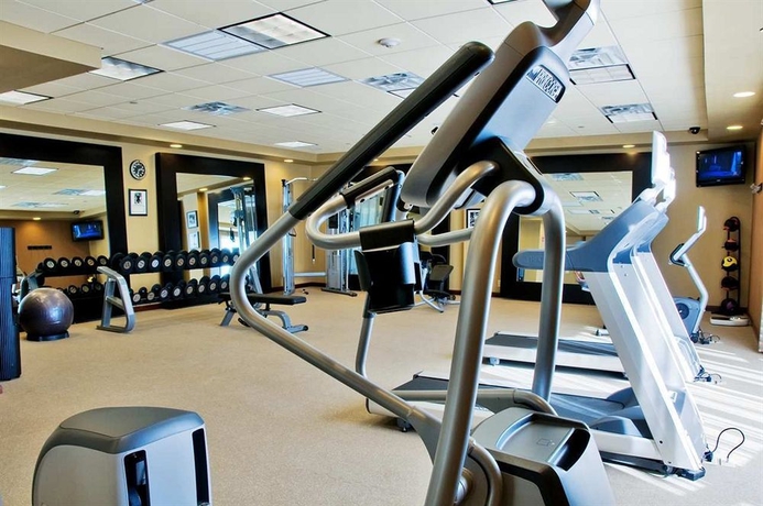 Imagen de los interiores del Hotel Hilton Garden Inn Amarillo. Foto 9