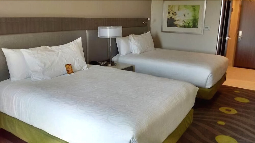 Imagen de la habitación del Hotel Hilton Garden Inn Ardmore. Foto 12