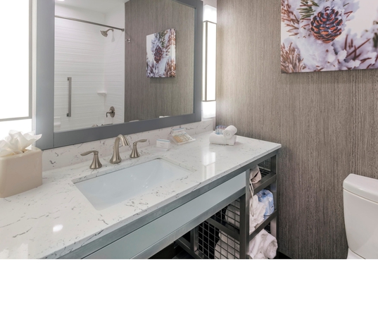 Imagen de la habitación del Hotel Hilton Garden Inn Arvada Denver. Foto 4