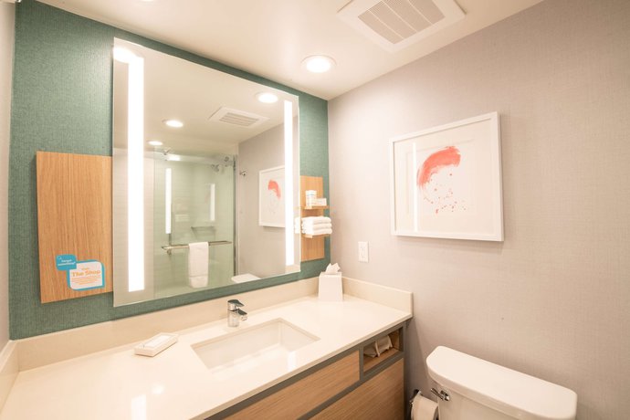 Imagen de la habitación del Hotel Hilton Garden Inn - Asheville South. Foto 5