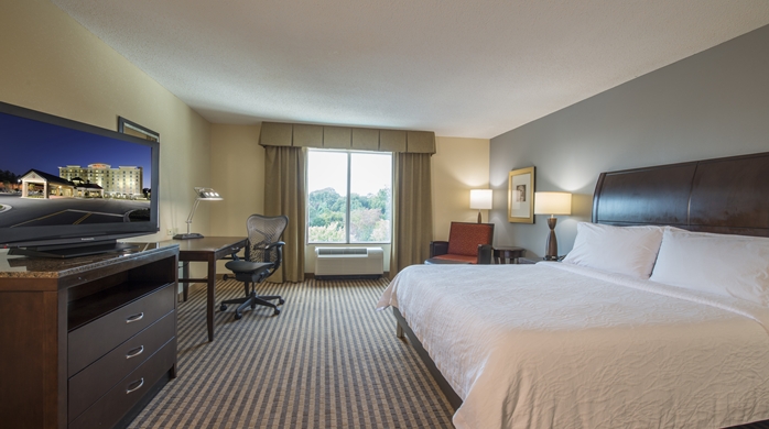 Imagen de la habitación del Hotel Hilton Garden Inn Atlanta Airport North. Foto 7