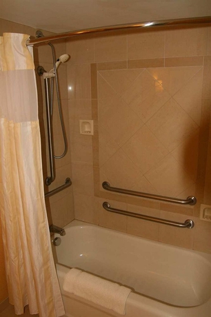 Imagen de la habitación del Hotel Hilton Garden Inn Atlanta Airport/millenium Center. Foto 5