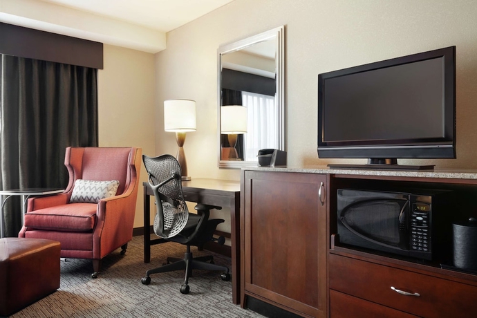 Imagen de la habitación del Hotel Hilton Garden Inn Atlanta Downtown. Foto 11