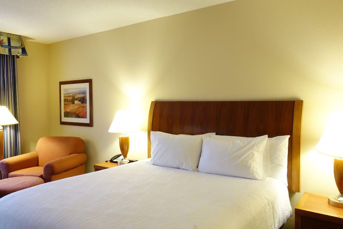 Imagen de la habitación del Hotel Hilton Garden Inn Atlanta East/stonecrest. Foto 2