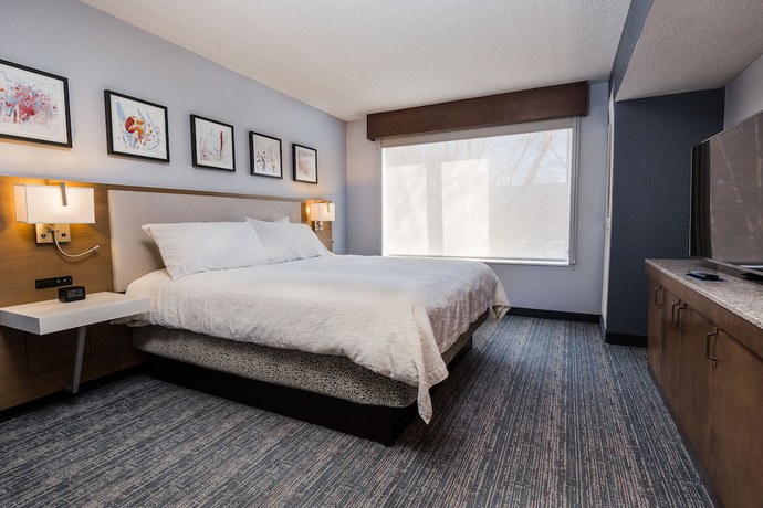 Imagen de la habitación del Hotel Hilton Garden Inn Atlanta North/johns Creek. Foto 5