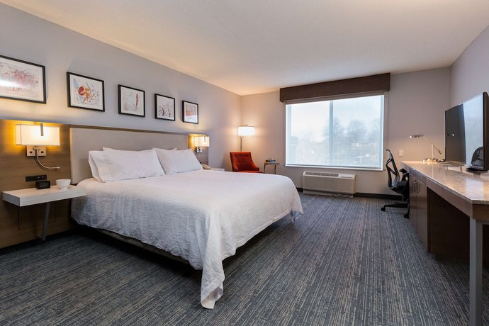 Imagen de la habitación del Hotel Hilton Garden Inn Atlanta North/johns Creek. Foto 6