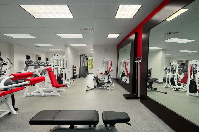 Imagen de los interiores del Hotel Hilton Garden Inn Atlanta North/johns Creek. Foto 16