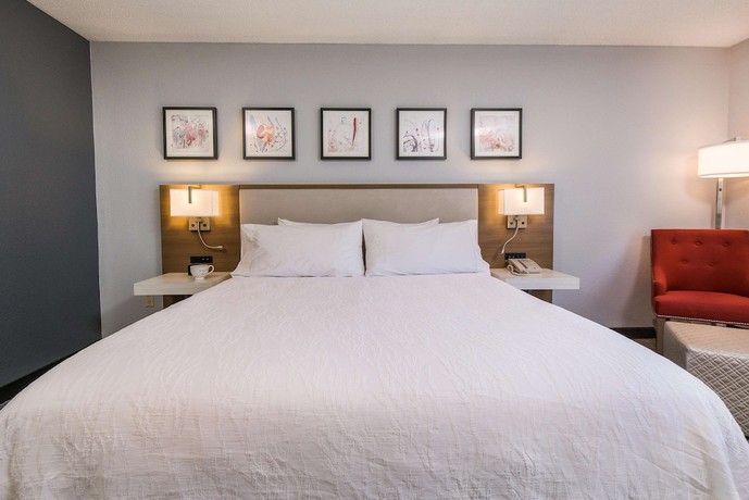 Imagen de la habitación del Hotel Hilton Garden Inn Atlanta North/johns Creek. Foto 8