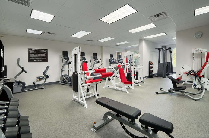 Imagen de los interiores del Hotel Hilton Garden Inn Atlanta North/johns Creek. Foto 18