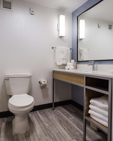 Imagen de la habitación del Hotel Hilton Garden Inn Atlanta North/johns Creek. Foto 14