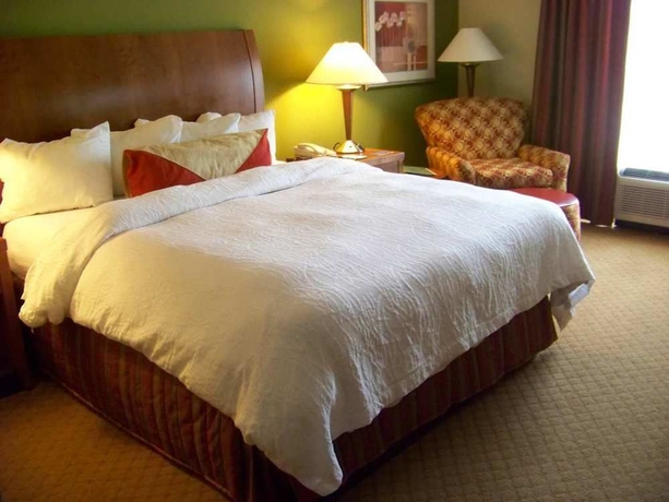 Imagen de la habitación del Hotel Hilton Garden Inn Atlanta Nw/kennesaw Town Center. Foto 2