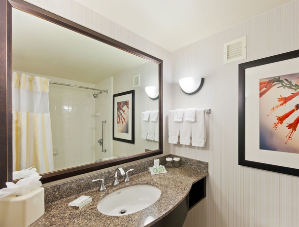 Imagen de la habitación del Hotel Hilton Garden Inn Atlanta Perimeter Center. Foto 3