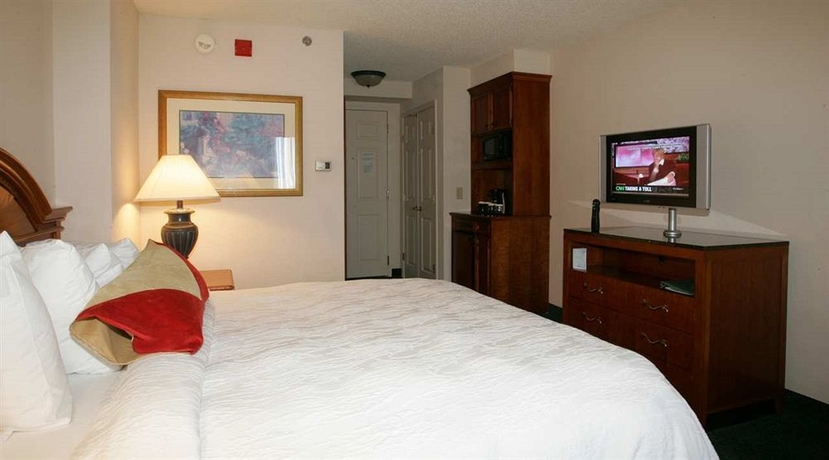 Imagen de la habitación del Hotel Hilton Garden Inn Atlanta Perimeter Center. Foto 4