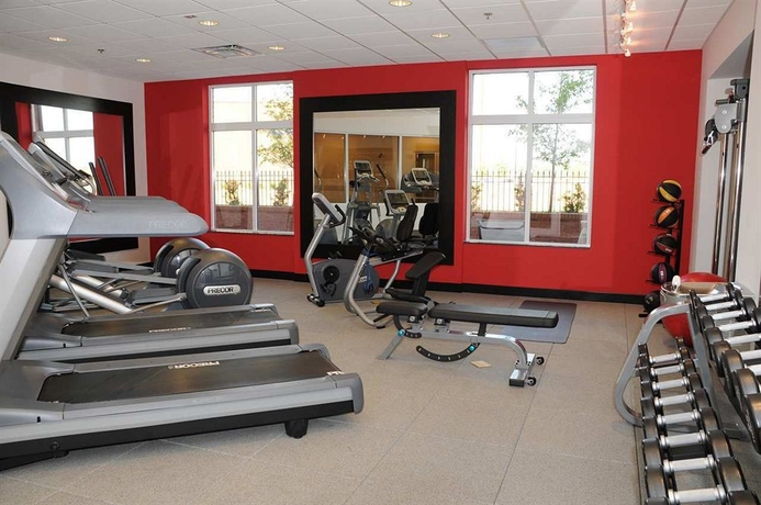 Imagen de los interiores del Hotel Hilton Garden Inn Atlanta South/mcdonough. Foto 10