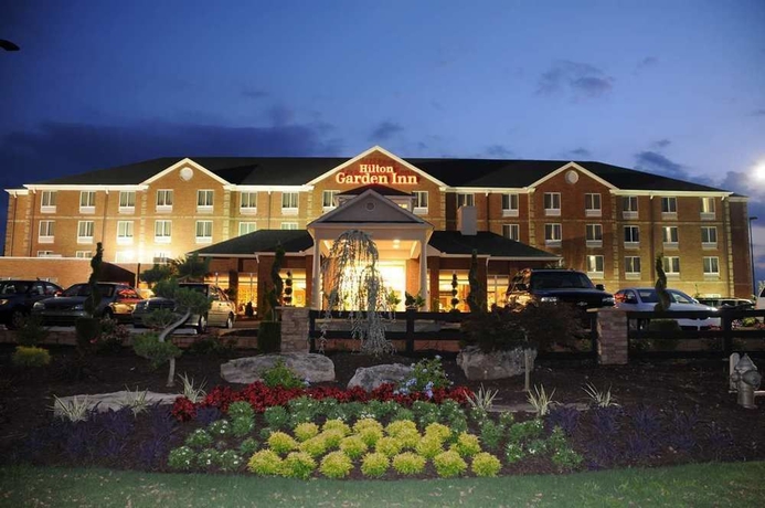 Imagen general del Hotel Hilton Garden Inn Atlanta South/mcdonough. Foto 1