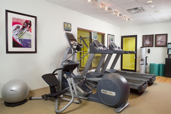 Imagen de los interiores del Hotel Hilton Garden Inn Atlanta West/lithia Springs. Foto 8