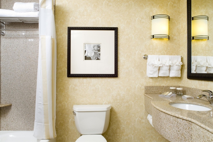 Imagen de la habitación del Hotel Hilton Garden Inn Atlanta West/lithia Springs. Foto 4