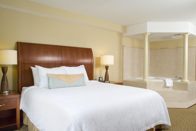 Imagen de la habitación del Hotel Hilton Garden Inn Atlanta West/lithia Springs. Foto 5