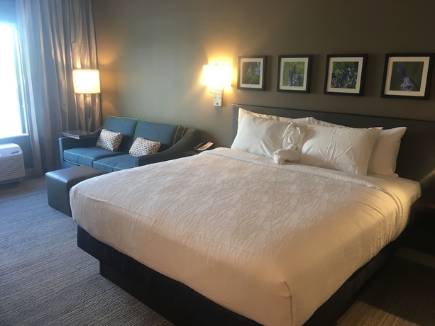 Imagen de la habitación del Hotel Hilton Garden Inn Austin Airport. Foto 2